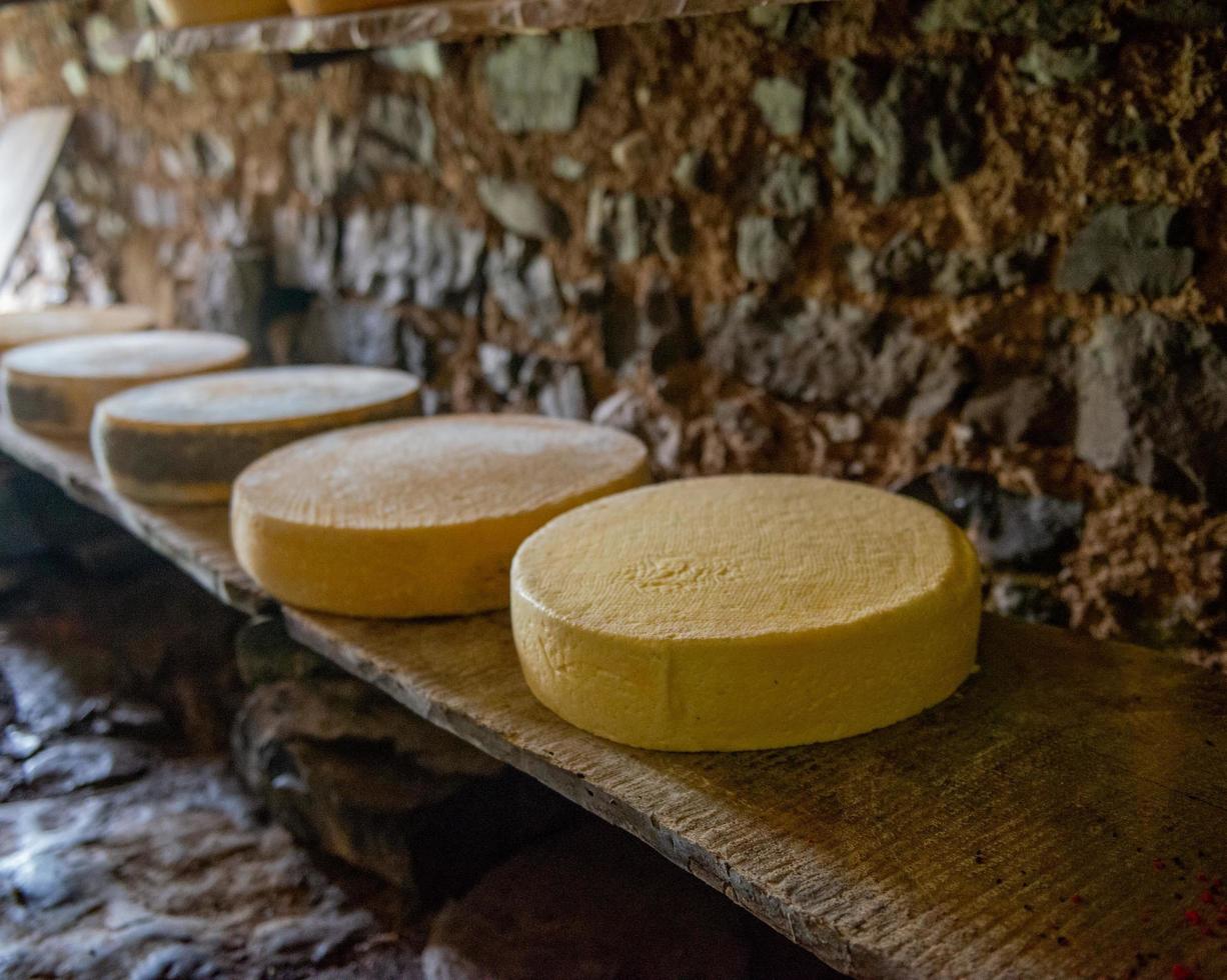 Cheese on the mountain pasture photo