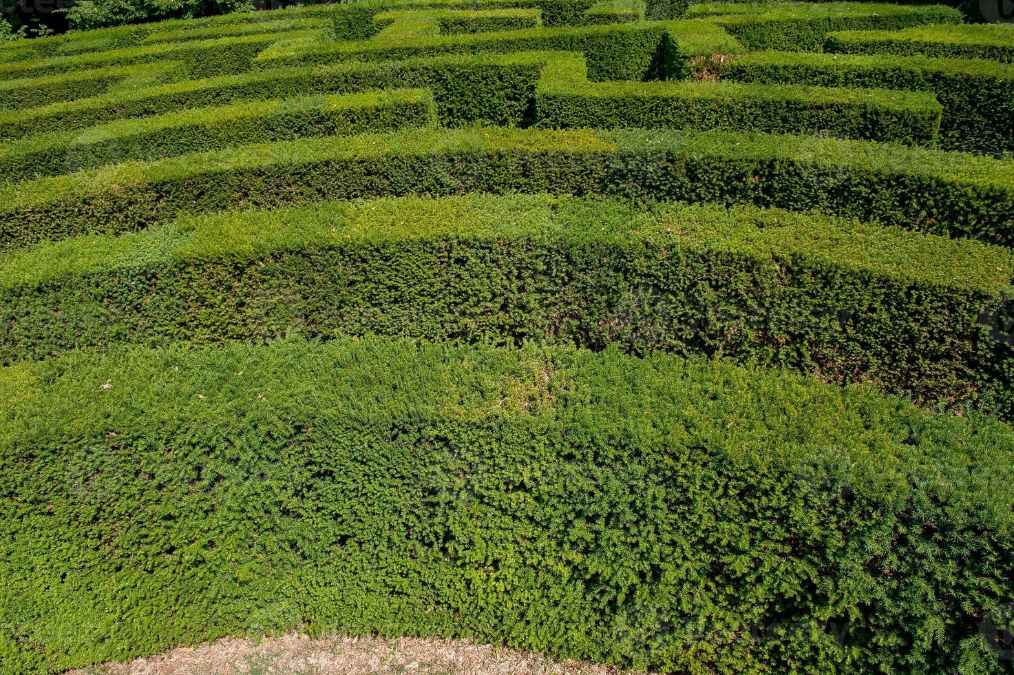 Labyrinth in botanical garden photo