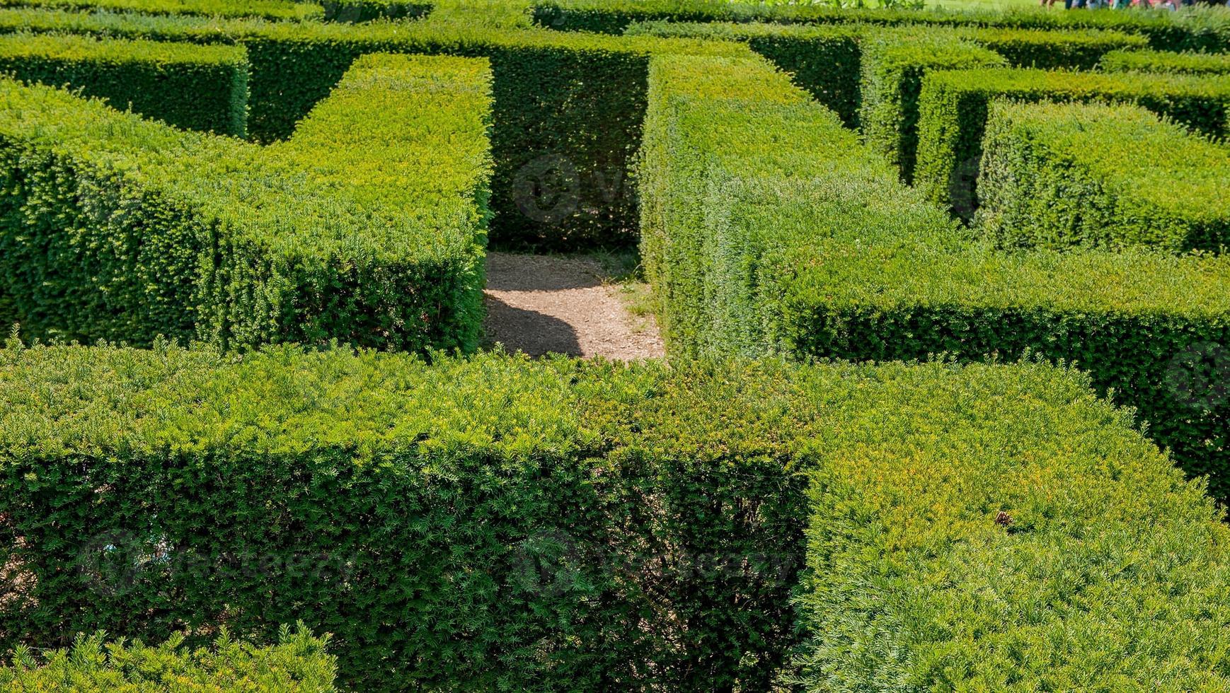 Labyrinth in botanical garden photo