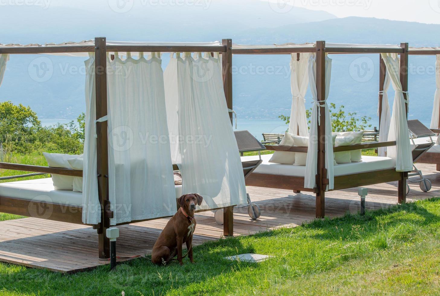 mirador para protegerse del sol con vista al lago foto