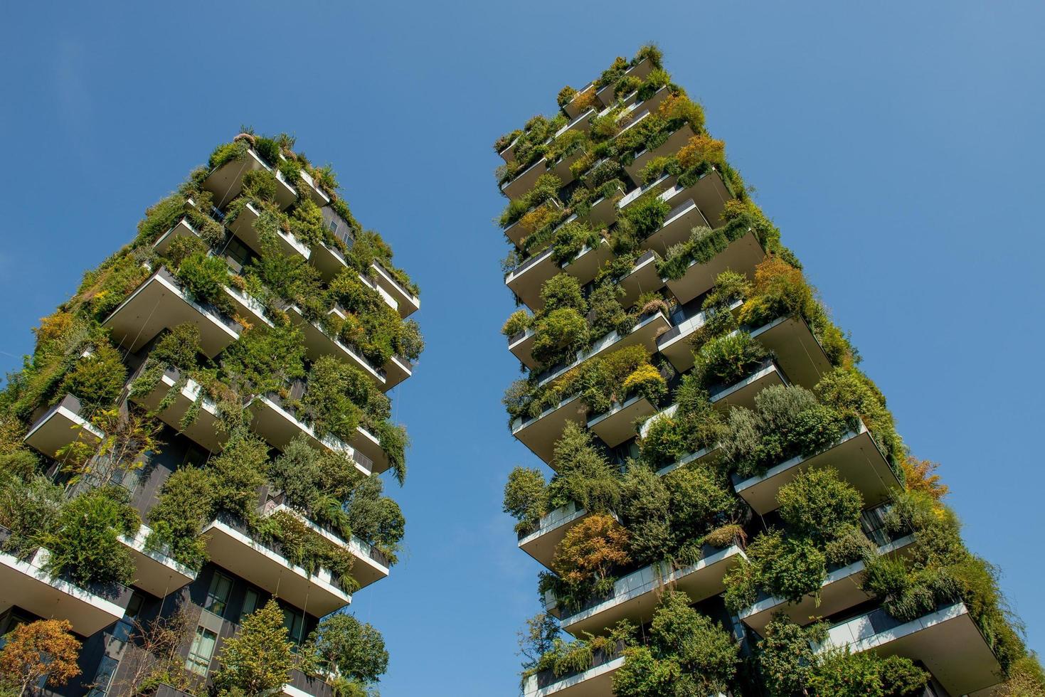 Milan Italy 2018 Vertical forest of Milan, the most innovative skyscraper in the world photo