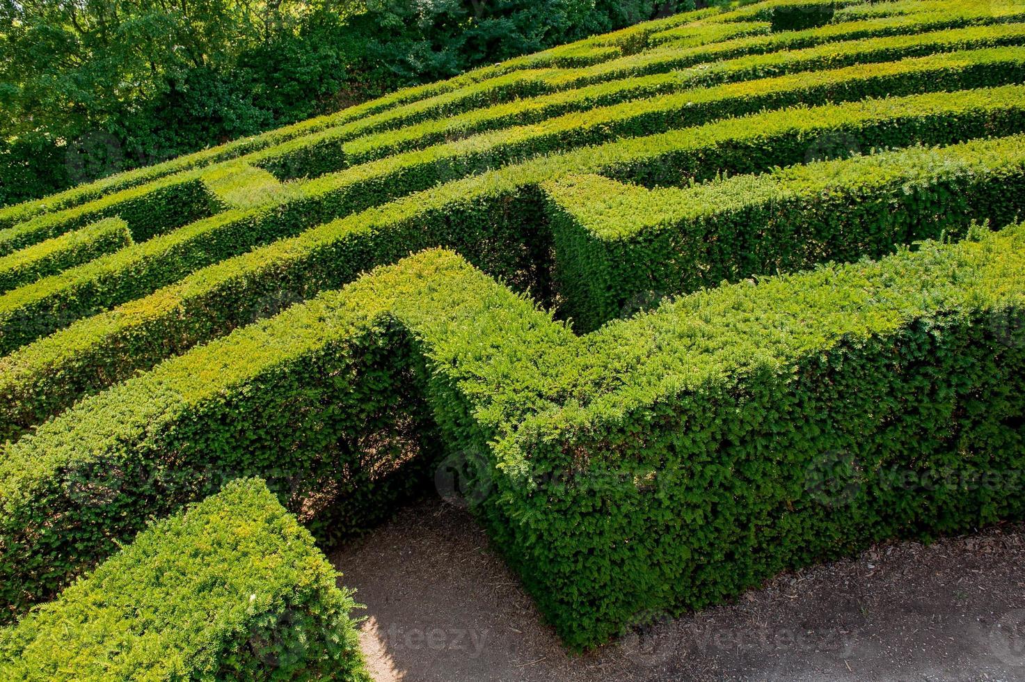 Labyrinth in botanical garden photo