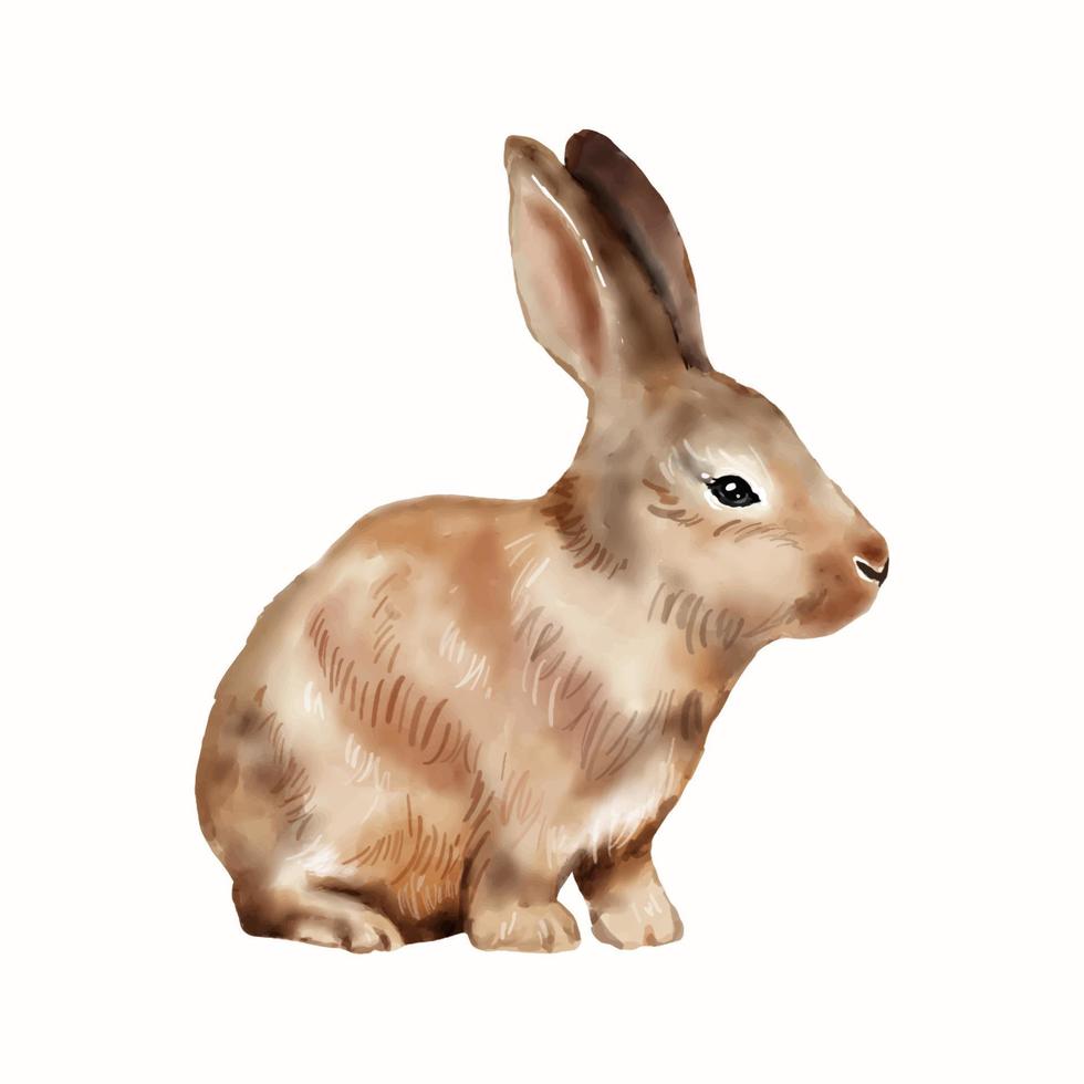 Ilustración de acuarela de conejito de Pascua aislado sobre fondo blanco. vector de dibujo de mano de conejo lindo