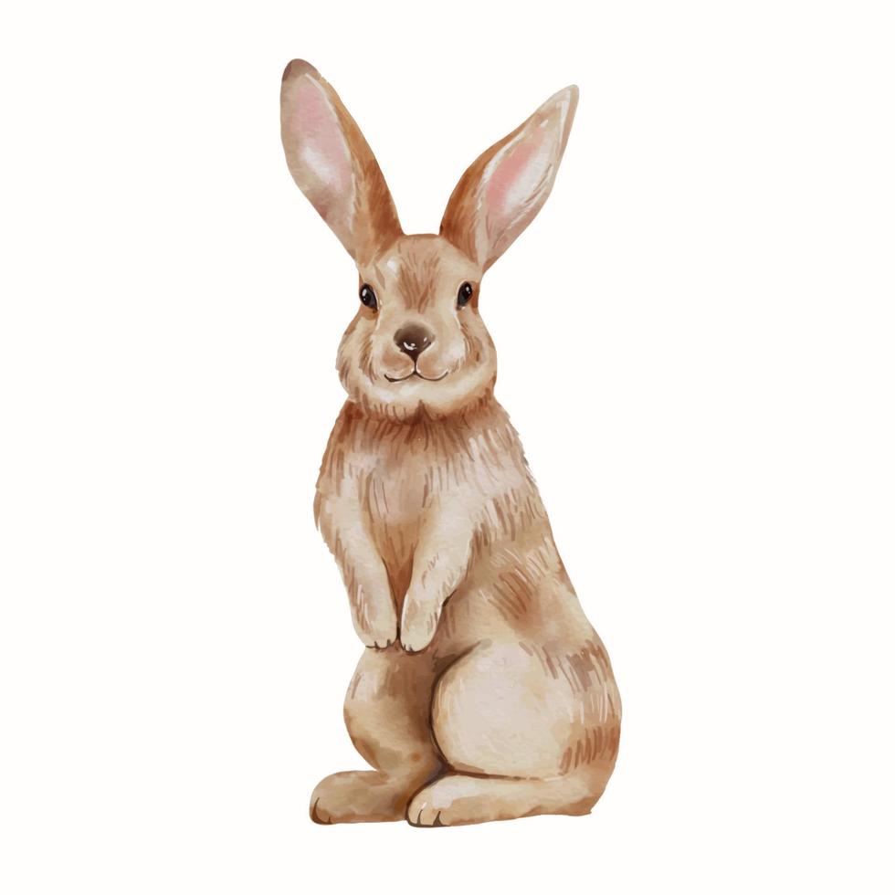 Easter Bunny Watercolor Illustration isolated on white background. Cute rabbit hand drawing vector