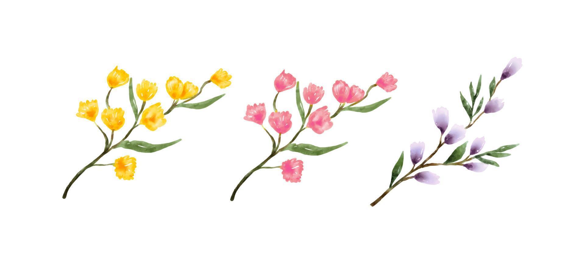 conjunto de botánicos en estilo acuarela aislado sobre fondo blanco. plantas de jardín dibujadas a mano con hojas y flores. ilustración vectorial vector