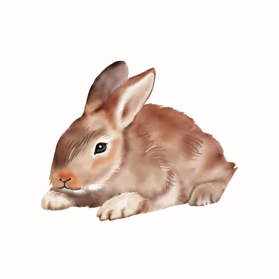 Ilustración de acuarela de conejito de Pascua aislado sobre fondo blanco. vector de dibujo de mano de conejo lindo