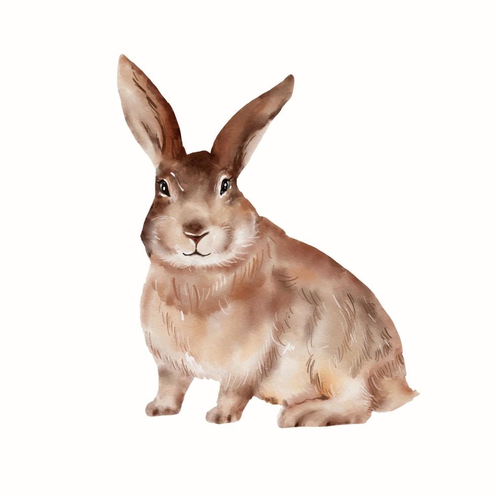Ilustración de acuarela de conejito de Pascua aislado sobre fondo blanco. vector de dibujo de mano de conejo lindo