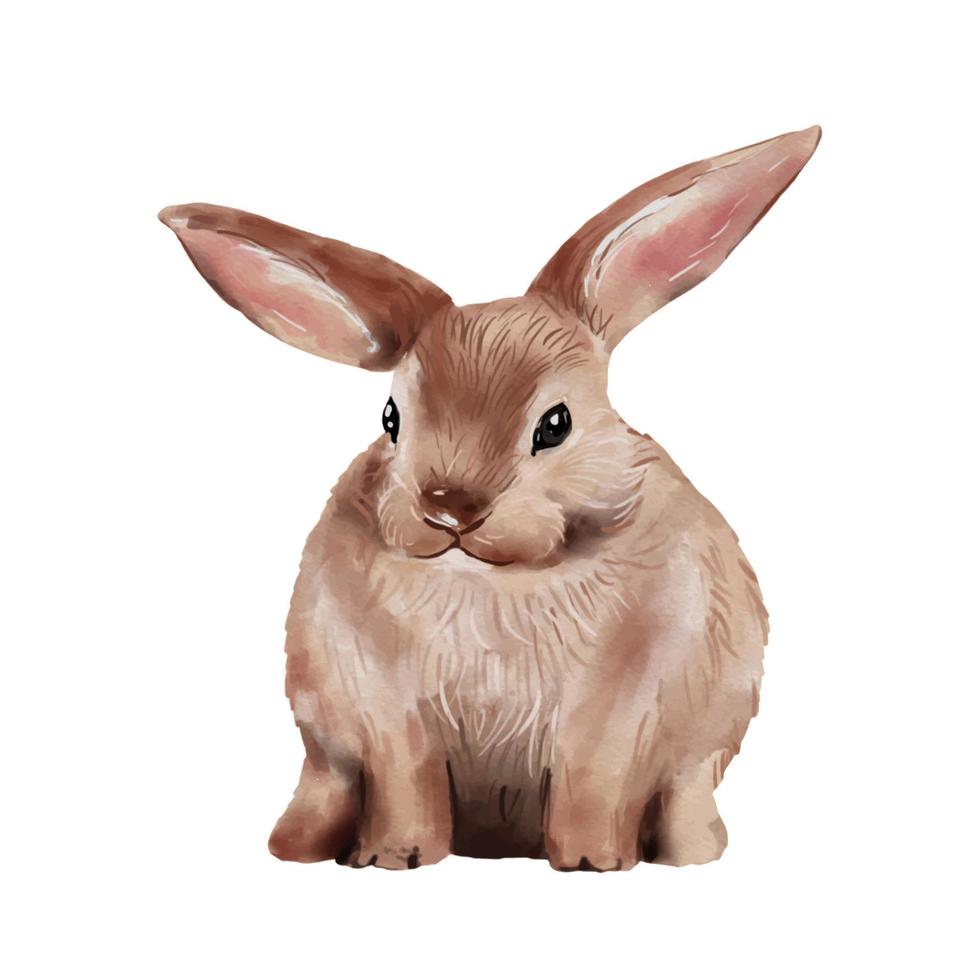 Ilustración de acuarela de conejito de Pascua aislado sobre fondo blanco. vector de dibujo de mano de conejo lindo