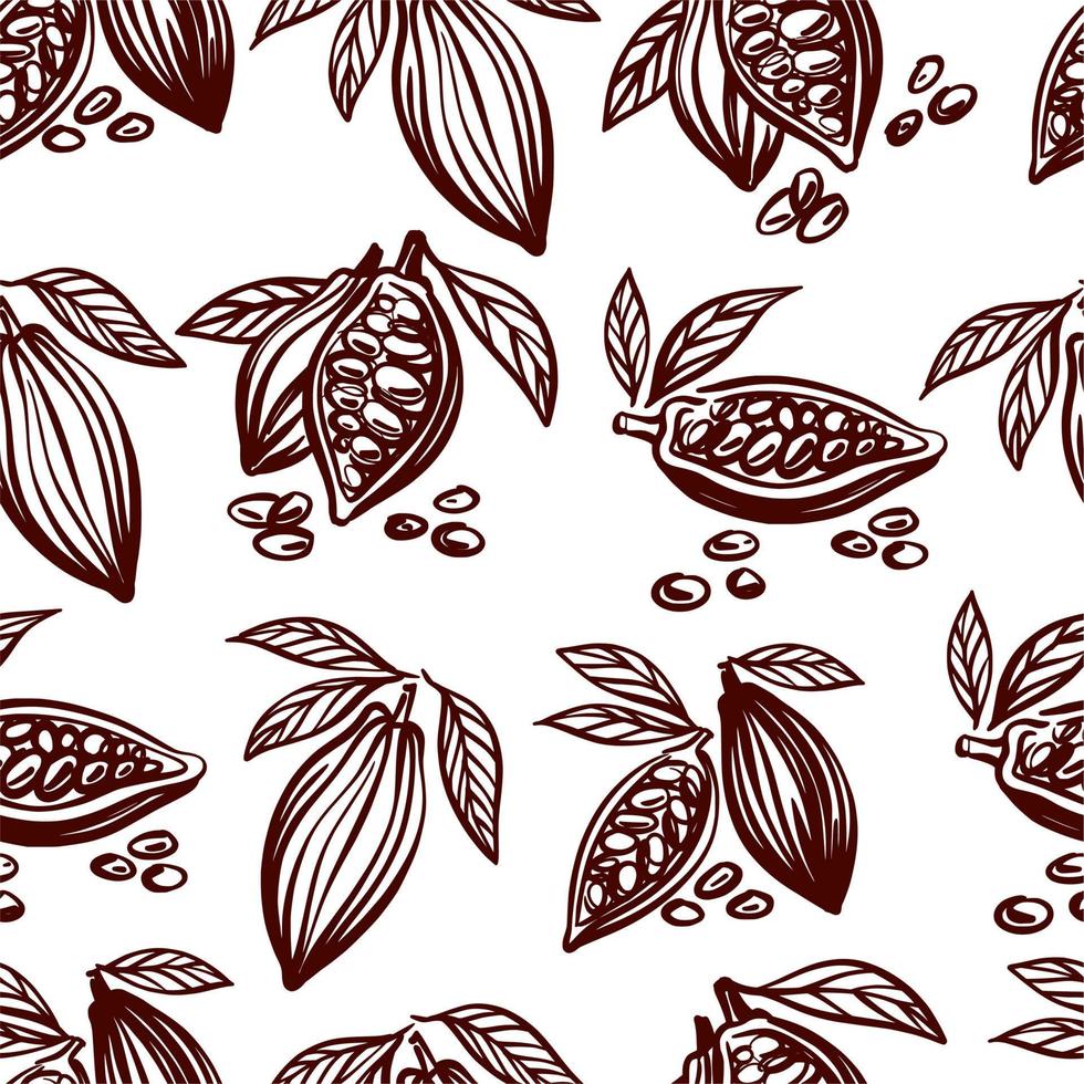 Hand drawing of cocoa beans vector