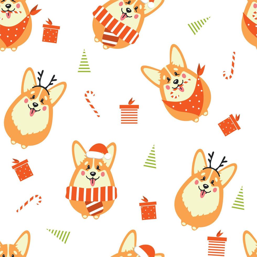 Cute corgi dog with gifts and Christmas trees vector