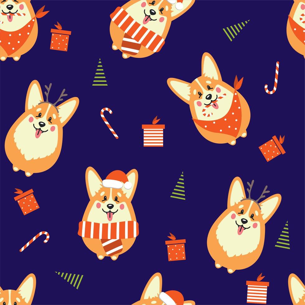 Cute corgi dog with gifts and Christmas trees vector