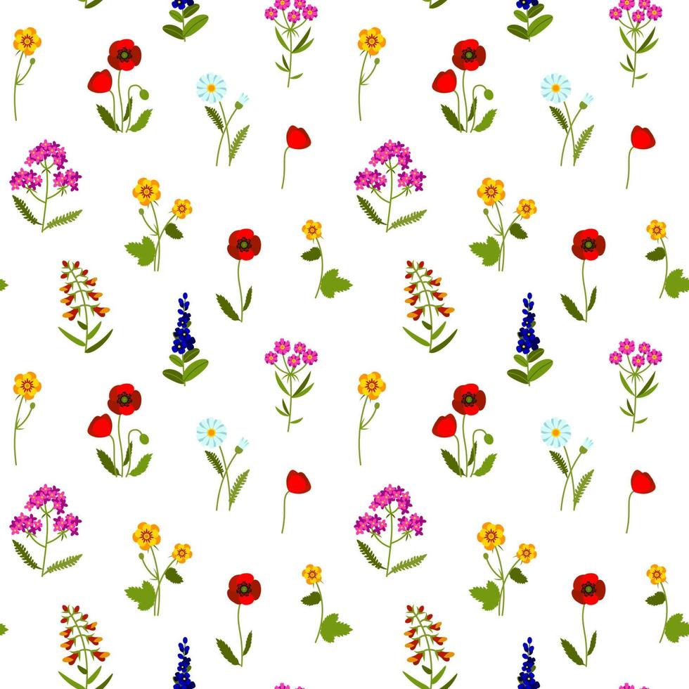 Meadow wildflowers colorful seamless pattern. Summer design with chamomile, yarrow, lavender, snapdragon, poppy, buttercup for textile, fabric, wrapping paper, prints. Vector illustration