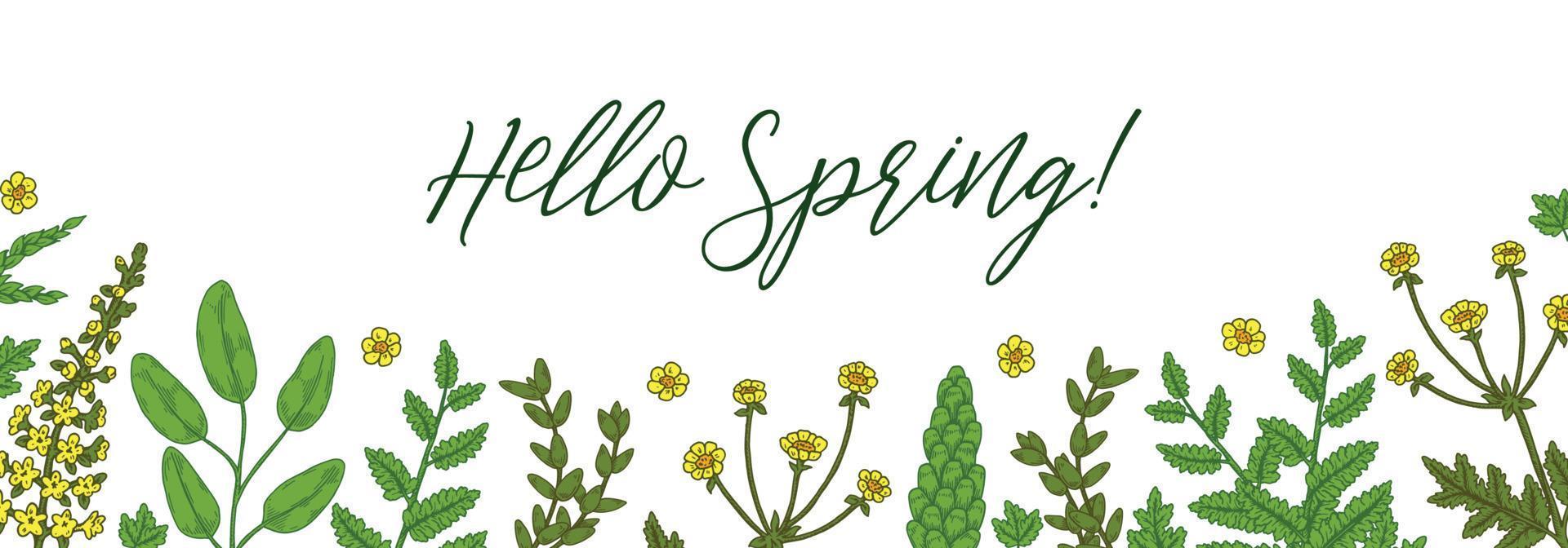 Hello Spring banner with green floral elements. Hand drawn vector illustration