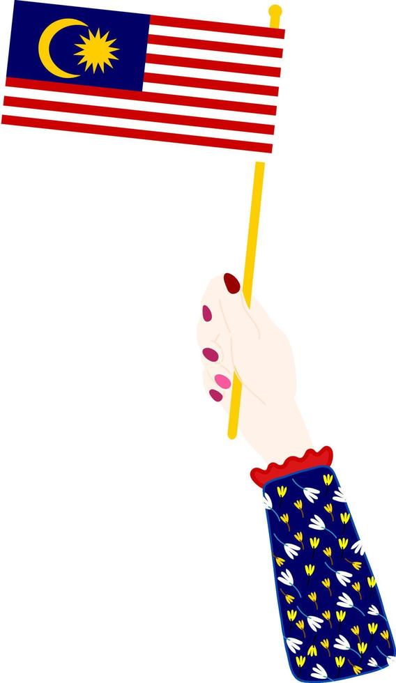 Flag Of Malaysian vector