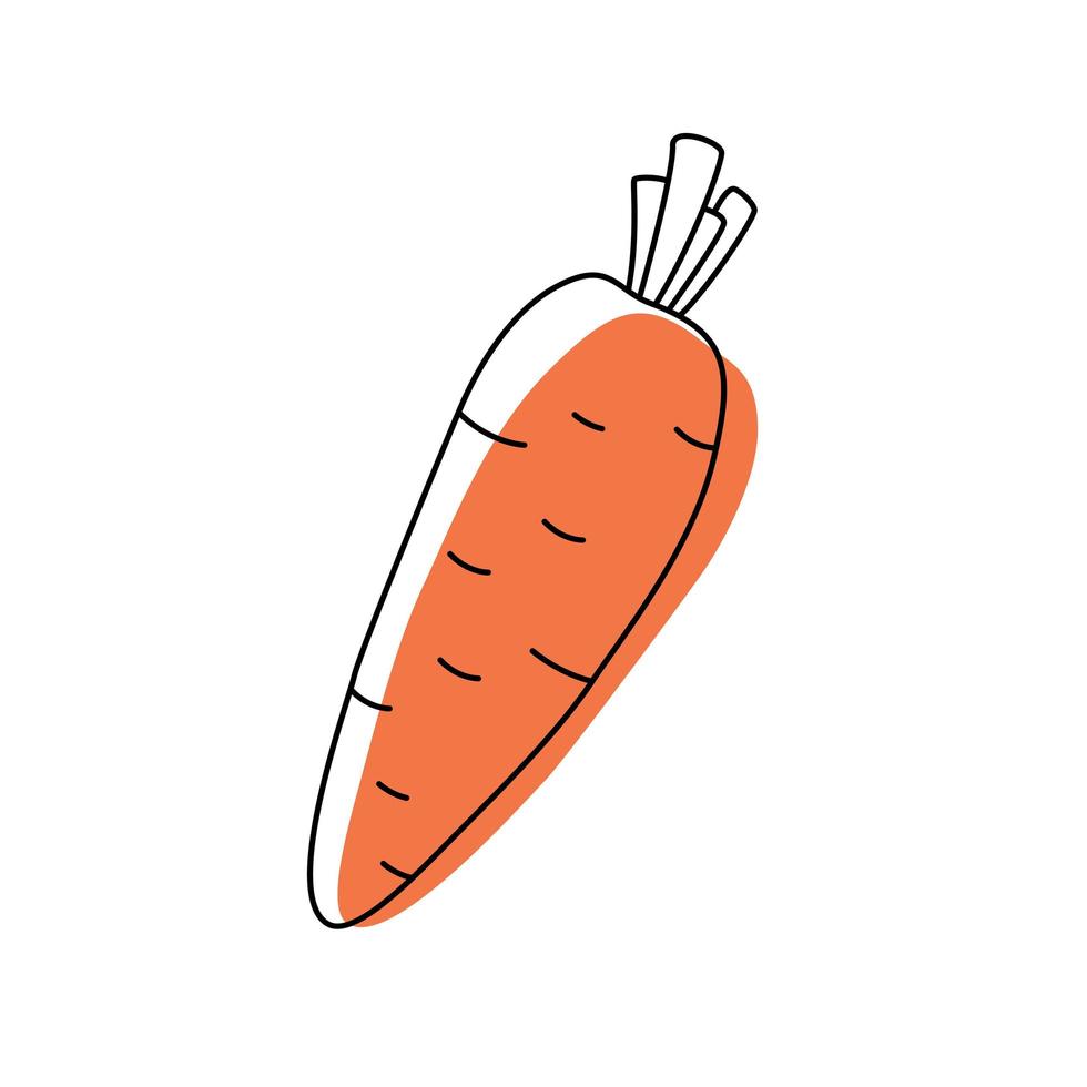 Doodle outline carrot with spot. Vector illustration for packing