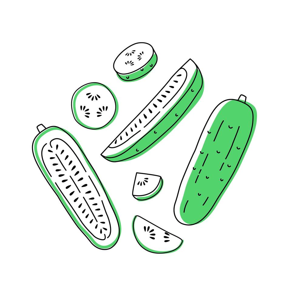 Set of doodle outline cucumber with spots. Whole, pieces, and leaves vector