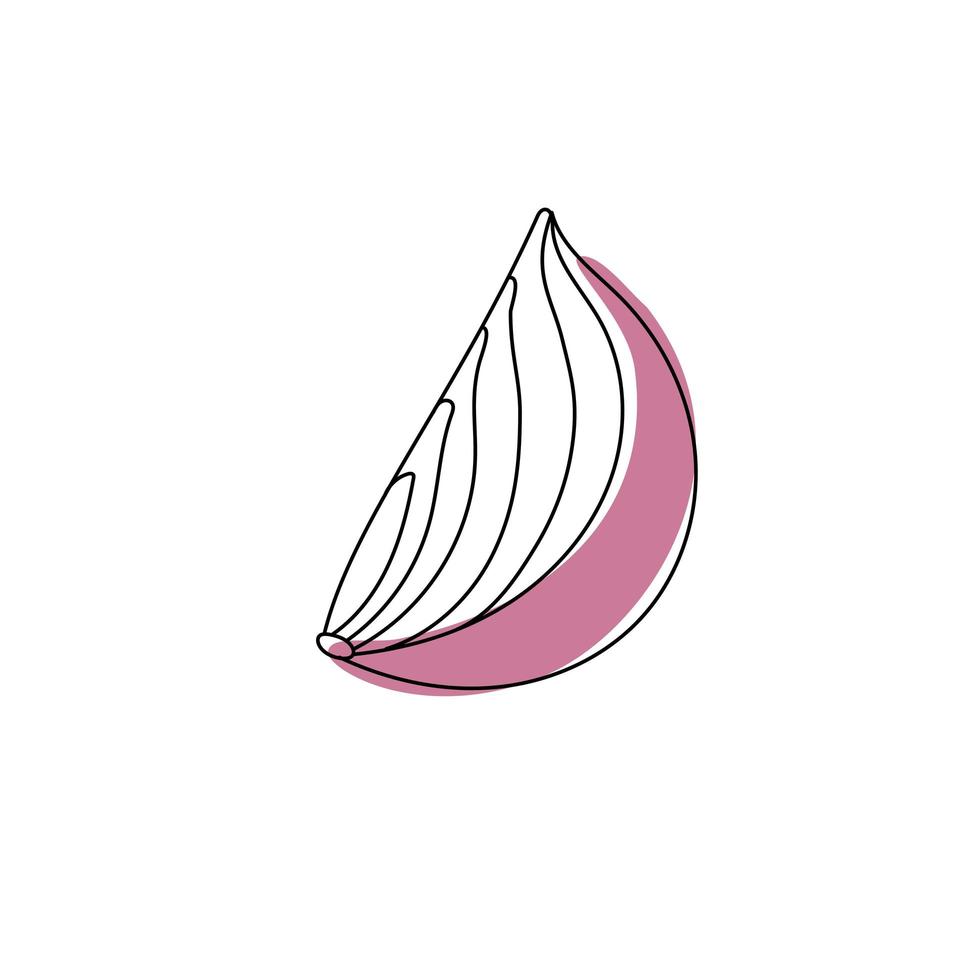 Doodle outline slice onion with spot. Vector illustration for packing