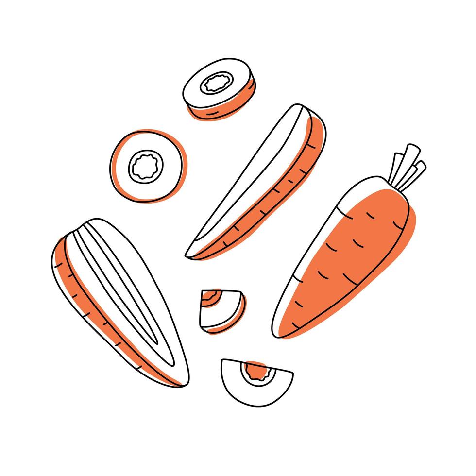 Set of doodle outline carrot with spots. Whole, pieces, and leaves vector