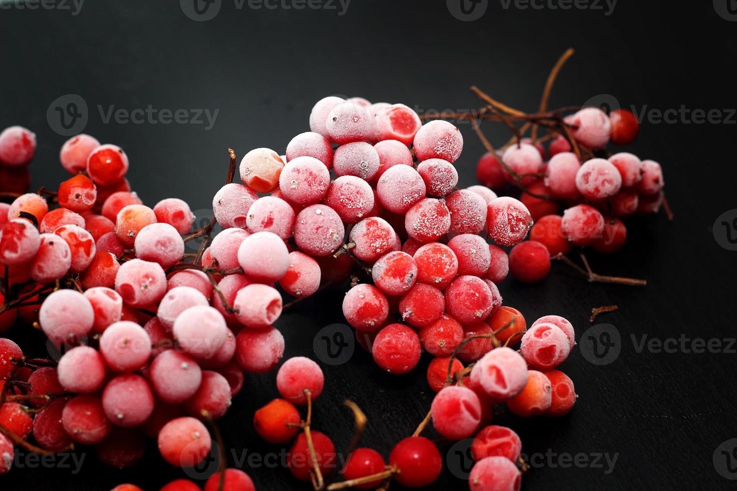 Frozen red viburnum berries photo