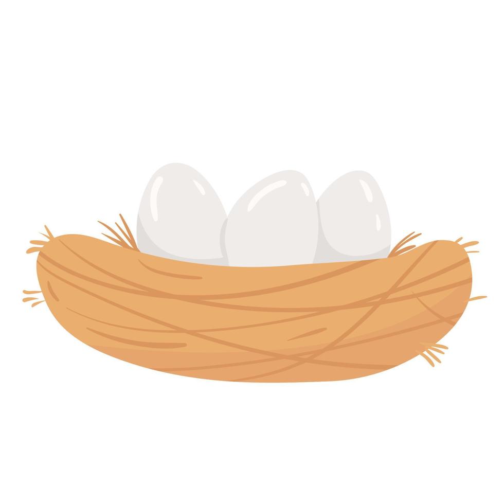 Nest with eggs. Poultry birds, farming birds. vector