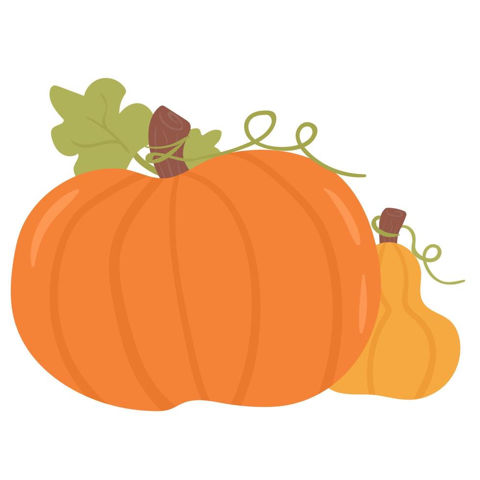 Two cartoon pumpkins of different shapes. vector