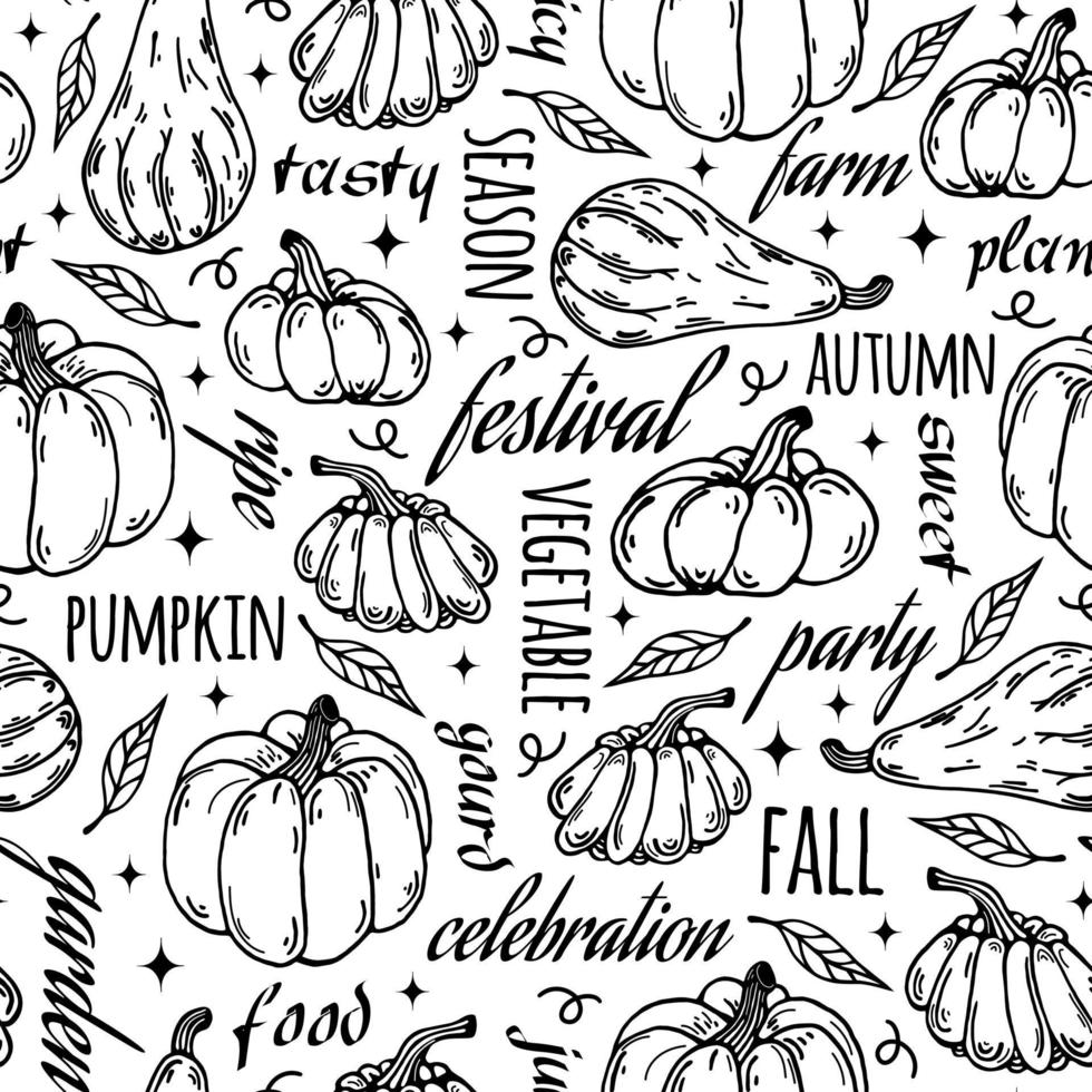 Ripe pumpkins, autumn leaves, seamless vector pattern with text. Hand drawn doodle on white background. Outline garden vegetables, food sketch. Backdrop for Thanksgiving, Halloween