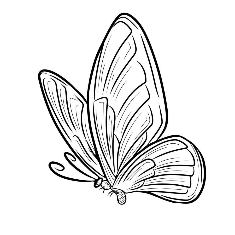 Line art butterfly tattoo vector design