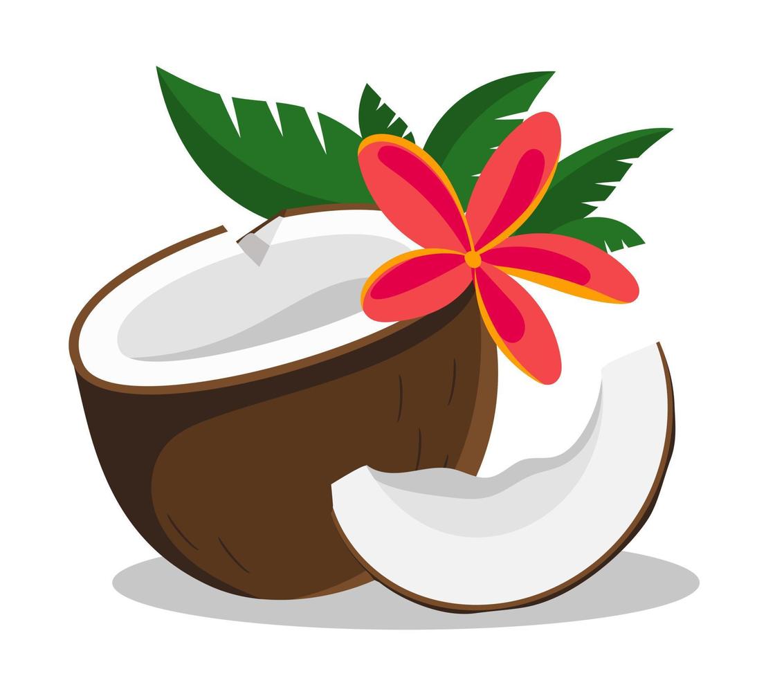 Coconut cut with red flower Vector illustration isolated on white background