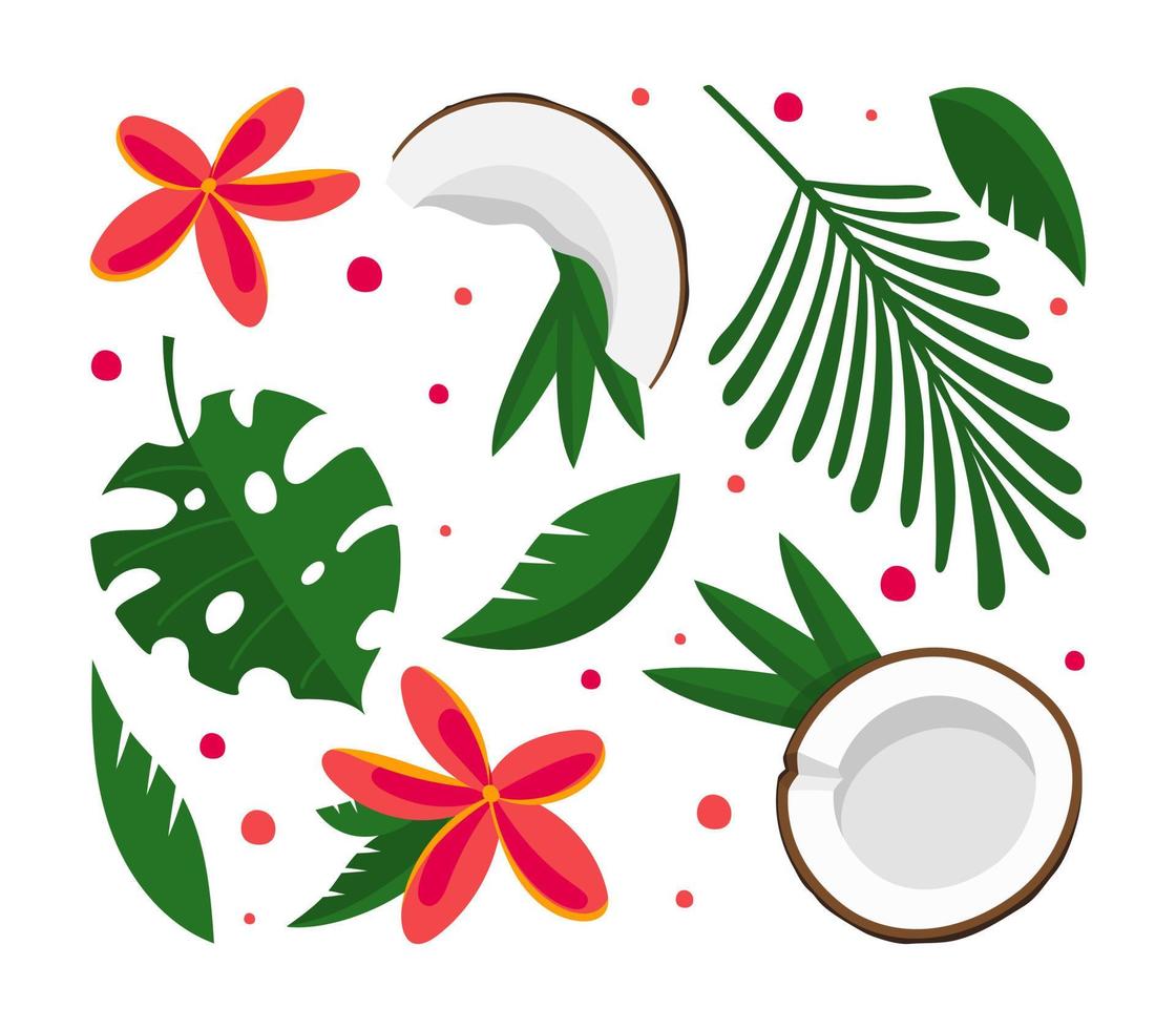 Coconut half with tropical green leaves and flowers set Vector illustration isolated on white background