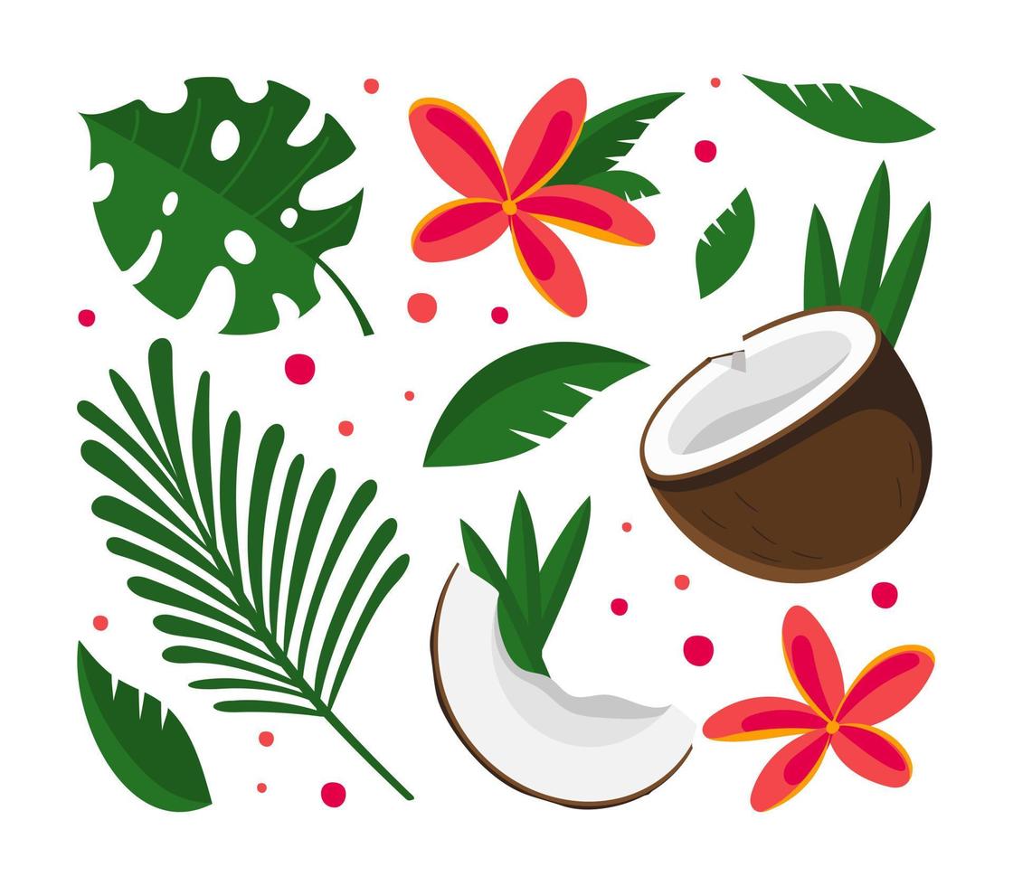 Coconut half with tropical green leaves and flowers Vector illustration isolated on white background