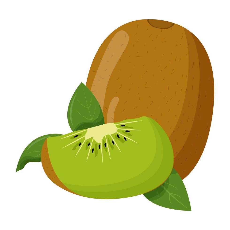 kiwi entero con hoja verde aislado sobre fondo blanco. ilustración vectorial plana vector