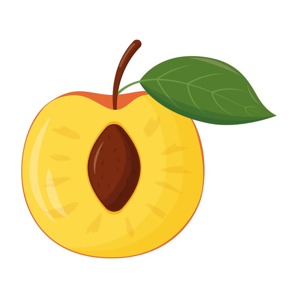 Half of orange peach on white background. Flat vector illustration