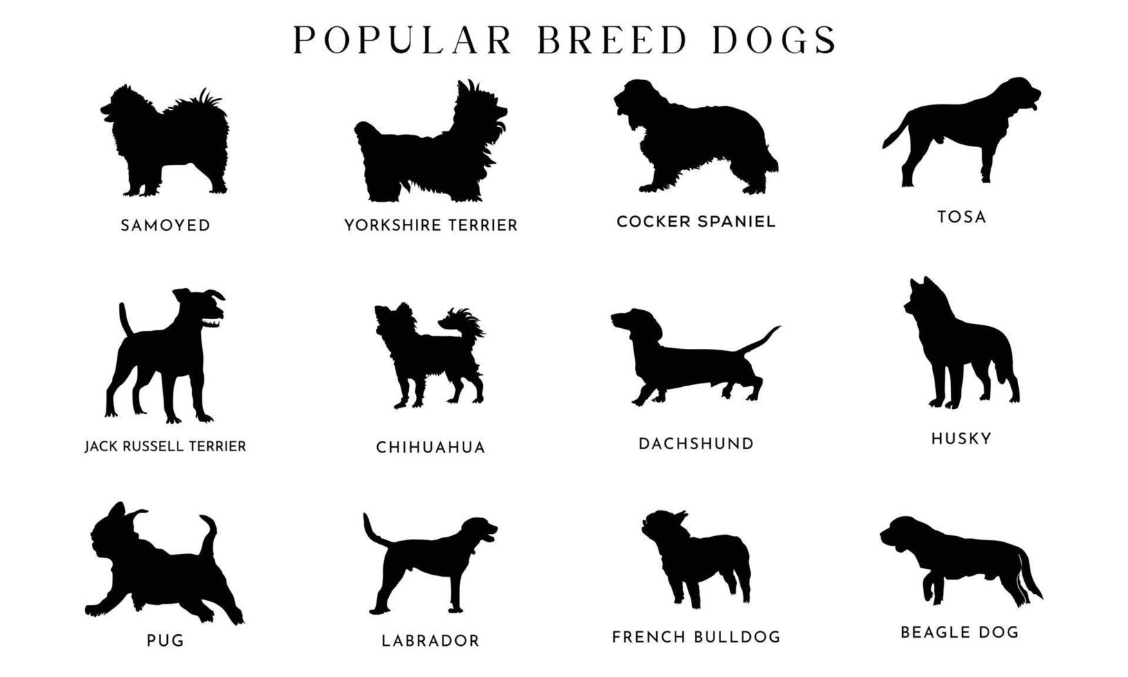 Collection of vector silhouette different breeds of dogs on white background.