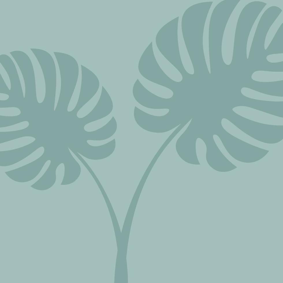 Monstera Leaf  Shadow Overlay Background vector