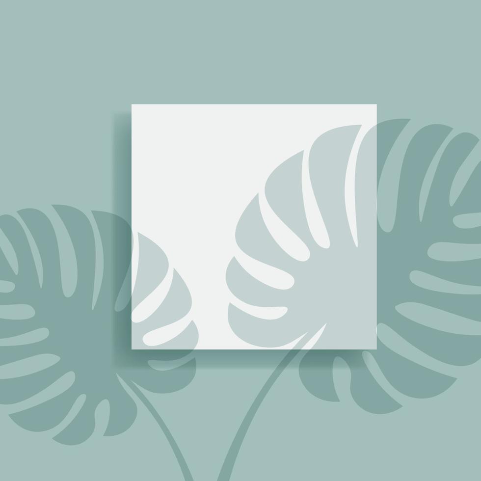 Square Flyer Mockup With Monstera Leaf Shadow Overlay vector