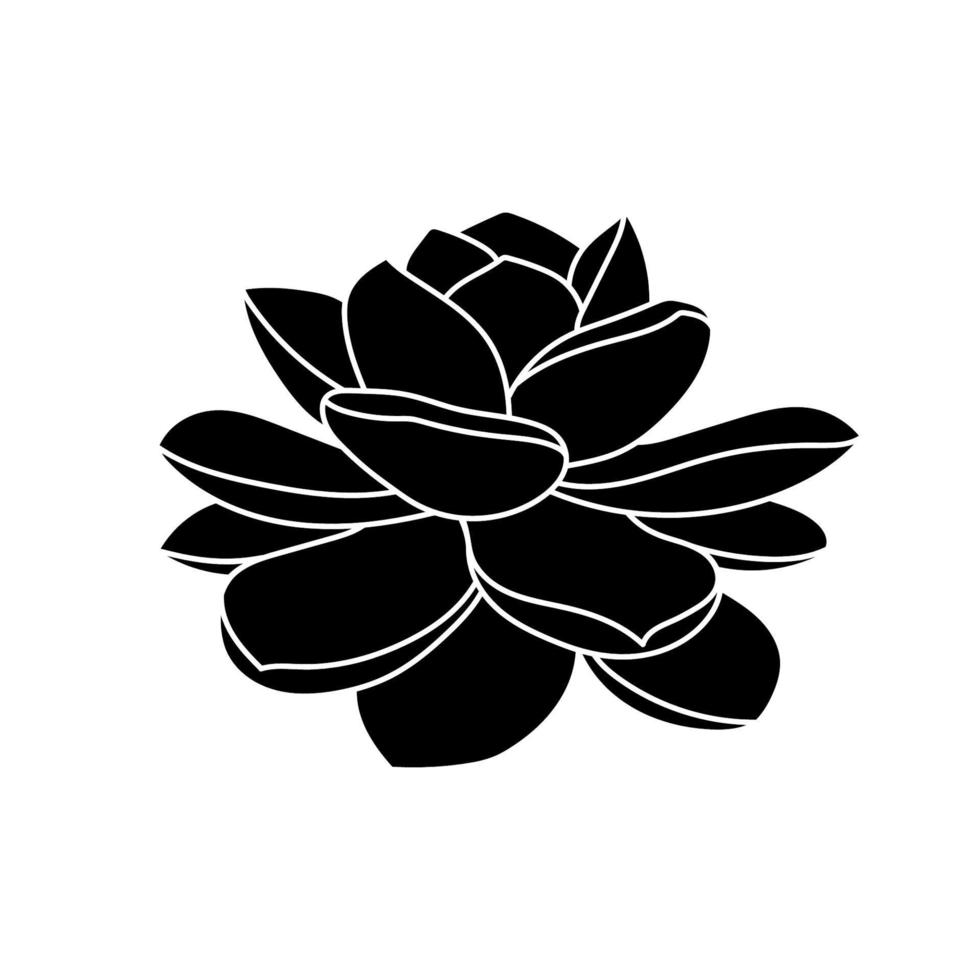 Succulent echeveria in simple style, vector illustration. Desert flower for print and design. Silhouette mexican plant, graphic isolated element on a white background. Houseplant for decor interior