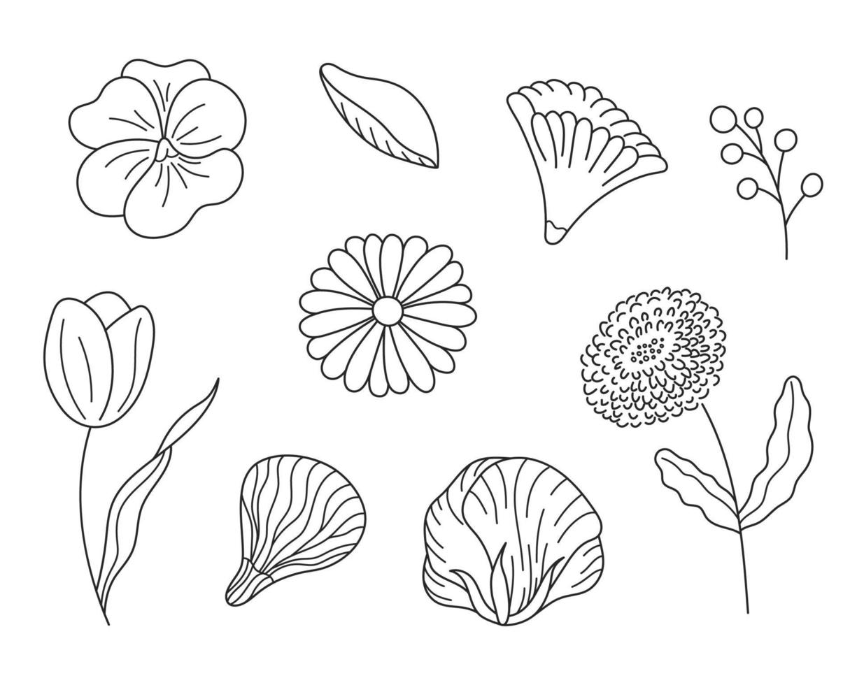 Hand drawn set sketches flowers and branches in an elegant style. Vector illustration, isolated black elements on a white background