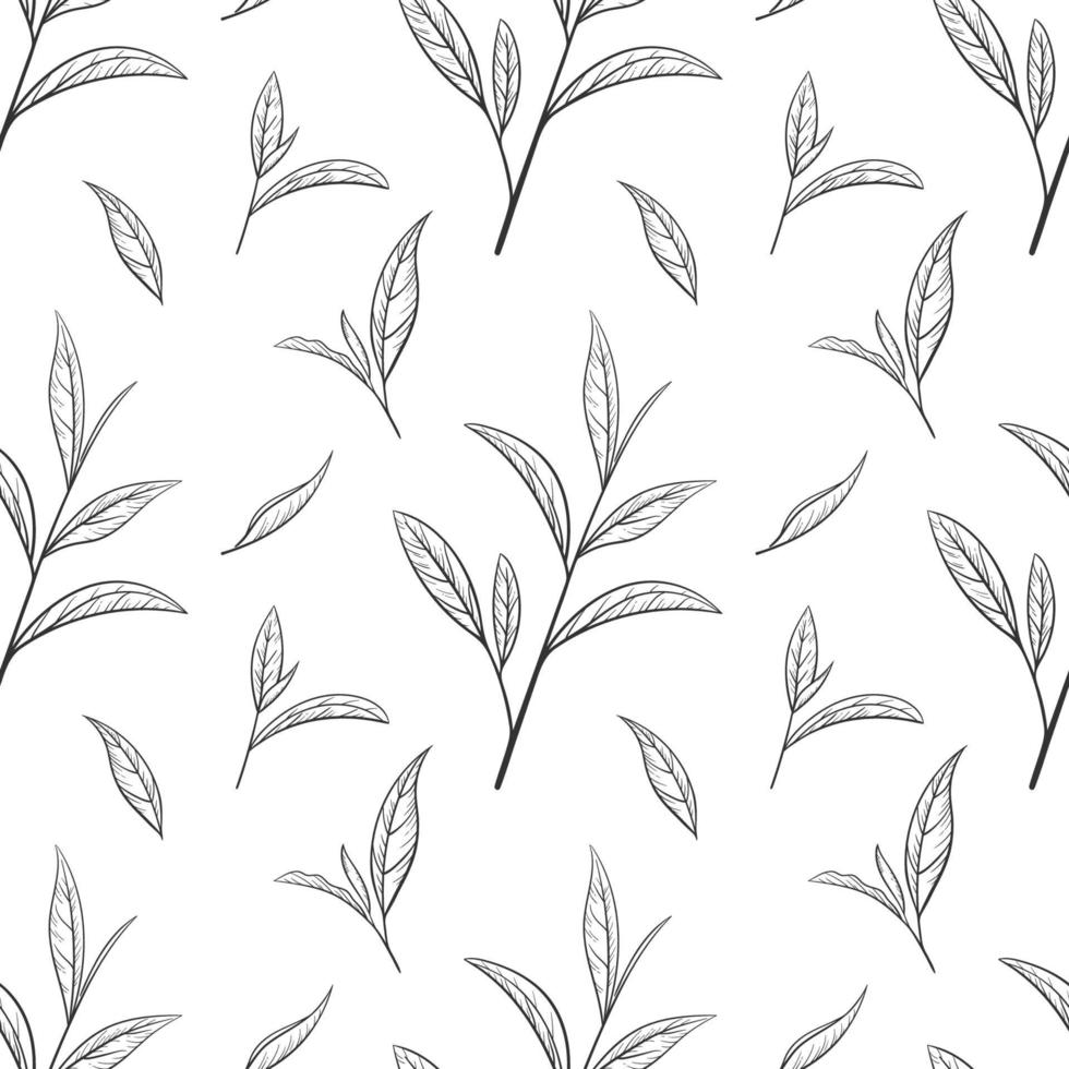 tea seamless pattern vector