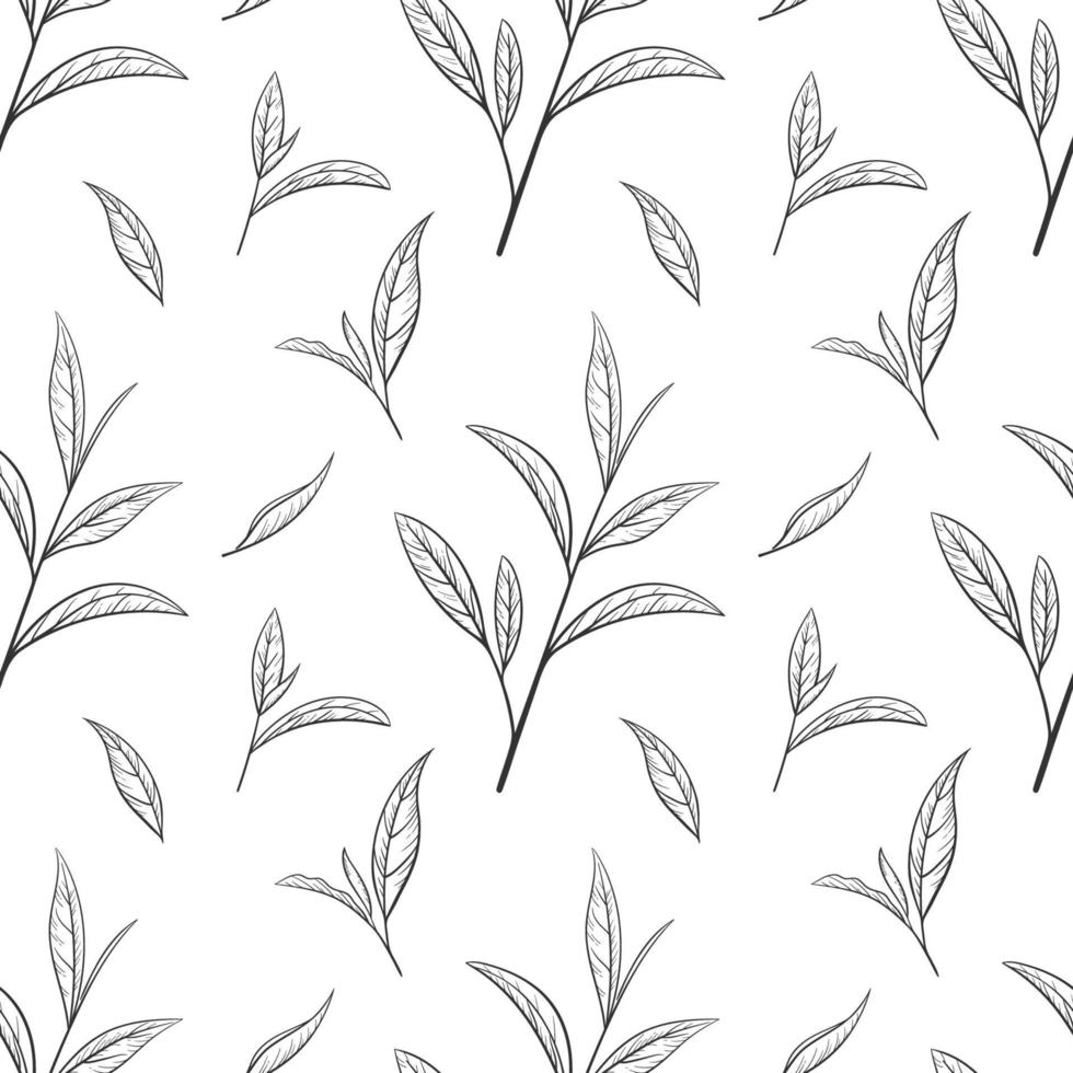 tea seamless pattern vector