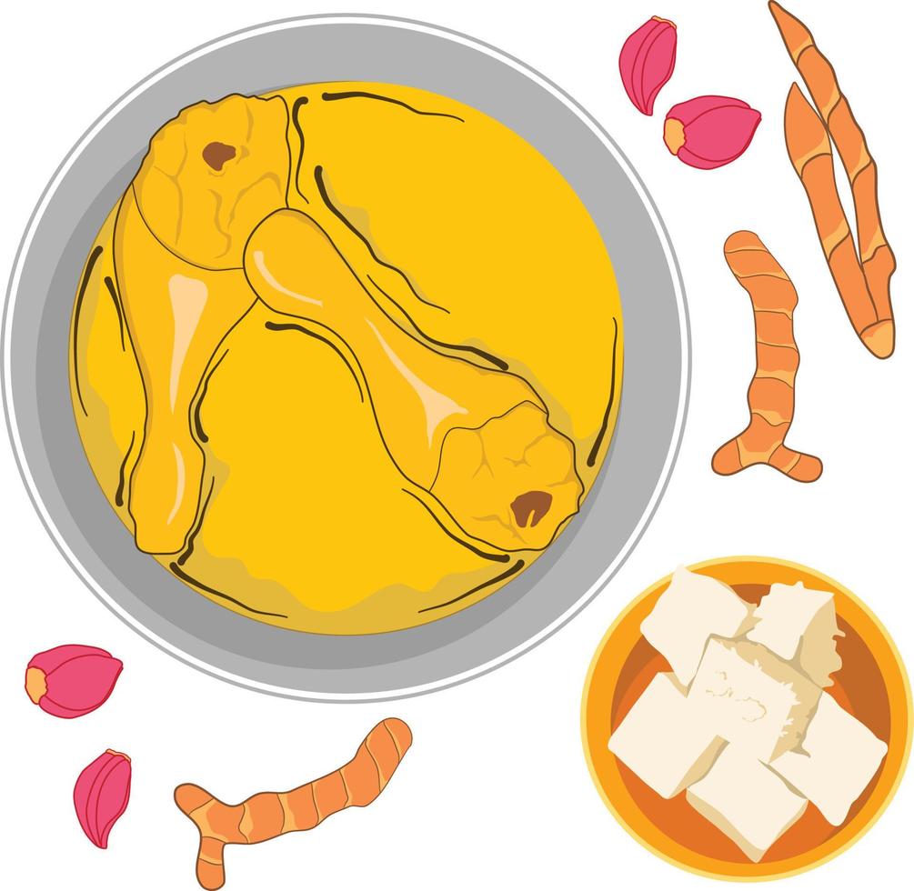 opor ayam, Chicken cooked in coconut milk and spices, eid al fitr food vector