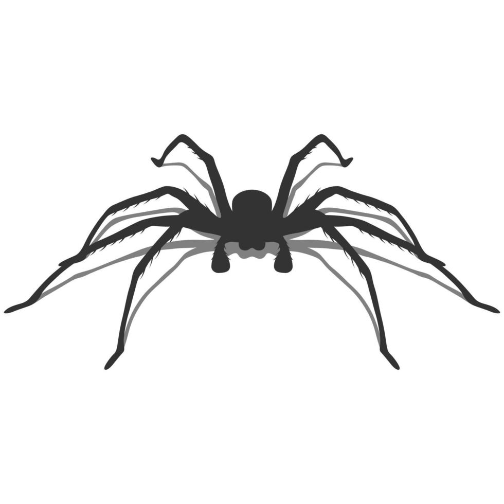 ilustración de araña con sombra. vector