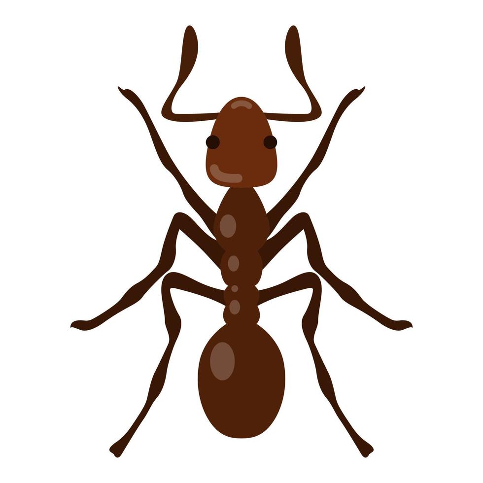 Ant illustration with Dorsal View. vector