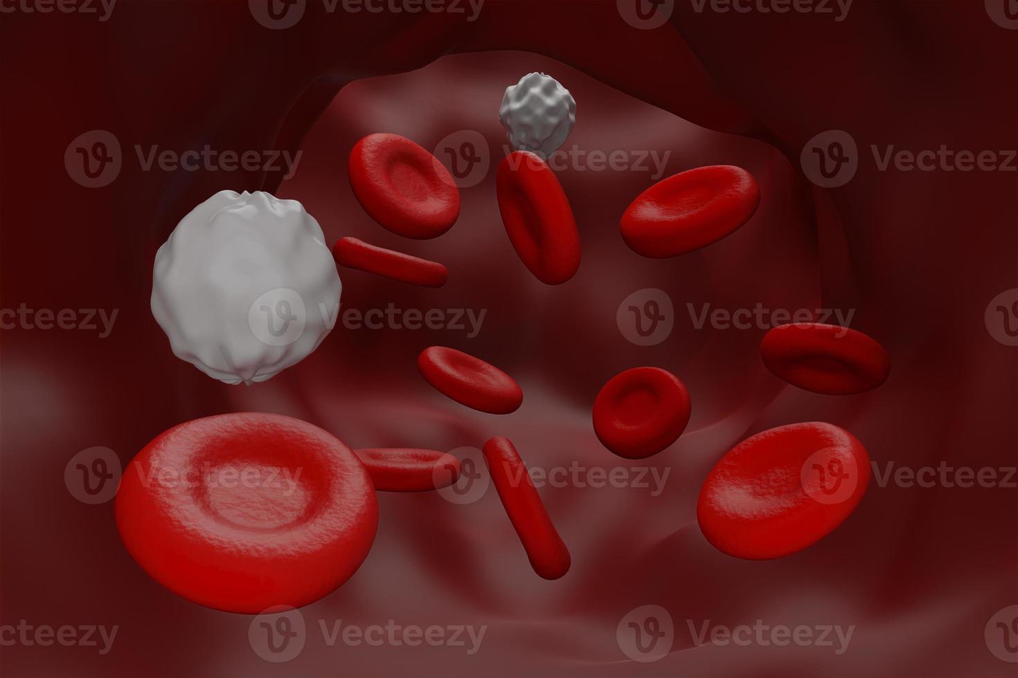 red blood and white blood  cell concept inside bloood tube graphic 3D rendering - Illustration photo