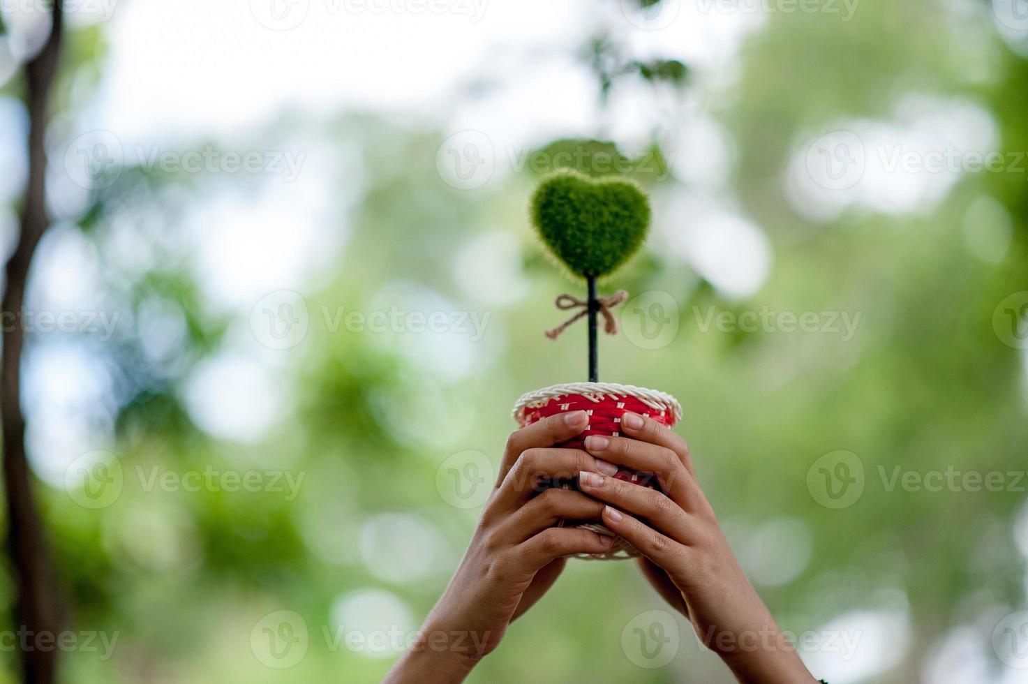 Beautiful green hand and heart images Valentines Day concept With copy space photo