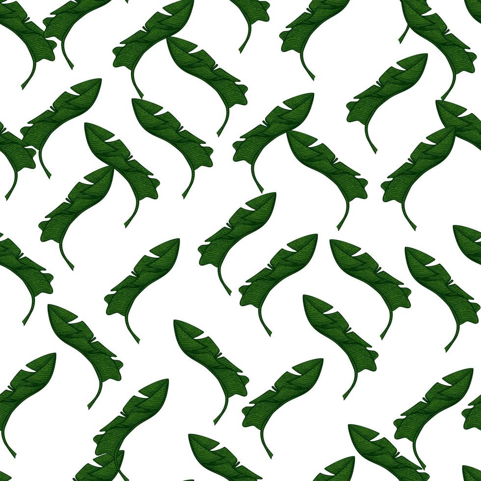 Banana leaves seamless pattern.Vintage tropical branch in engraving style. vector