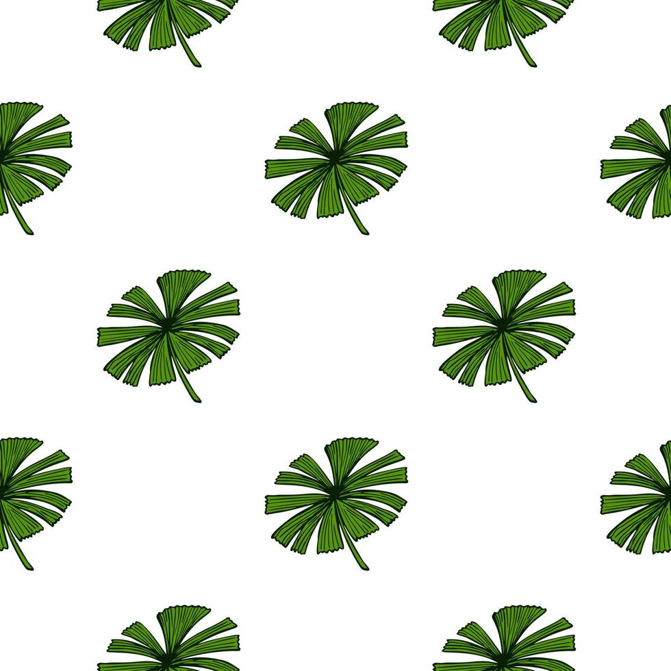Fan palm leaves seamless pattern on. Vintage foliage of palmetto in engraving style. vector