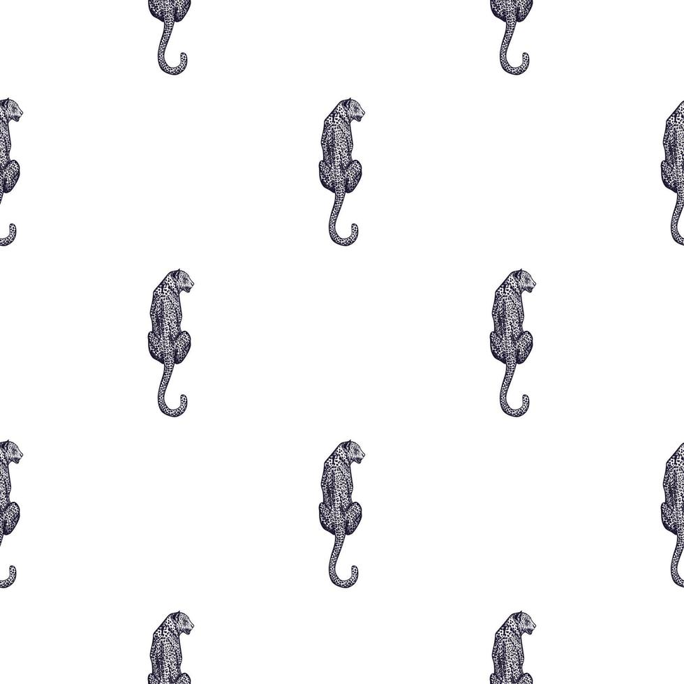 Leopard sit back seamless pattern. Vintage wildlife animals background. vector