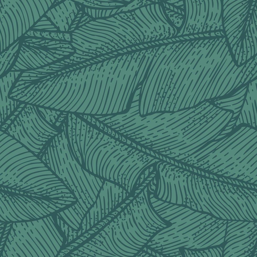 hojas de plátano de patrones sin fisuras. rama tropical retro en estilo de grabado. vector