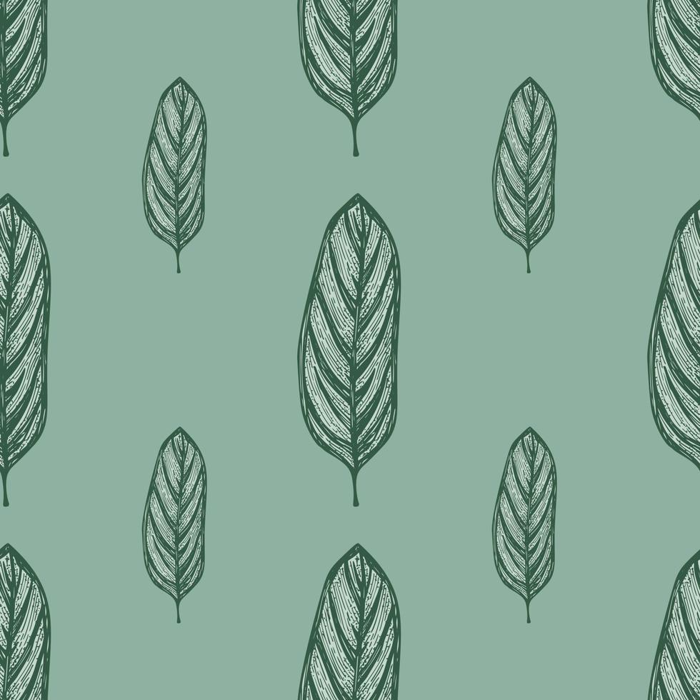 Alocasia leaves seamless pattern.Vintage tropical branch in engraving style. vector