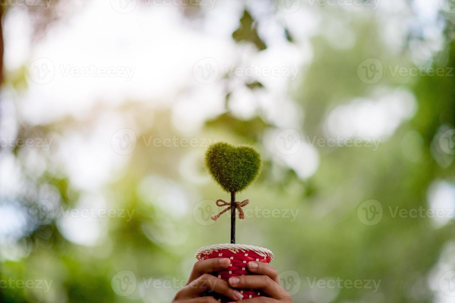 Beautiful green hand and heart images Valentines Day concept With copy space photo